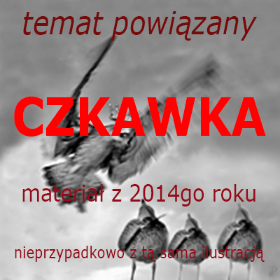 czkawka1